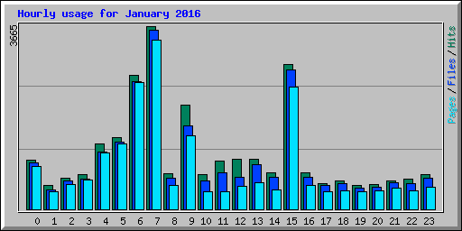 Hourly usage for January 2016