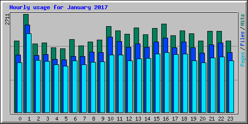 Hourly usage for January 2017
