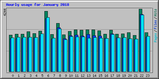 Hourly usage for January 2018